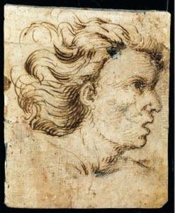 Testa Maschile Di Profilo by Giovanni Battista Caracciolo