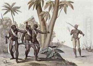 Freed slaves hunting down escaped slaves in Surinam, Guiana