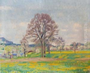 Fruhlingslandschaft Bei Moosseedorf. Fruhlingslandschaft Bei Moosseedorf.