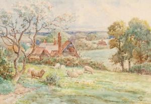 Rural Landscape With Sheep Rural Landscape With Sheep