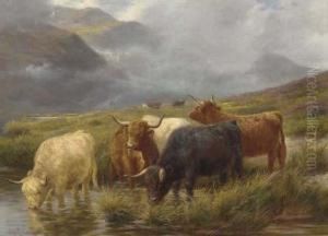 Highland Cattle Watering by Claude Cardon