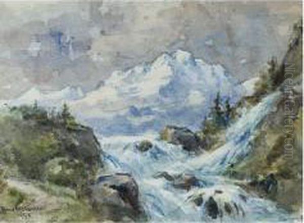 The Ravine - view 1