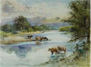 Cattle By A River
