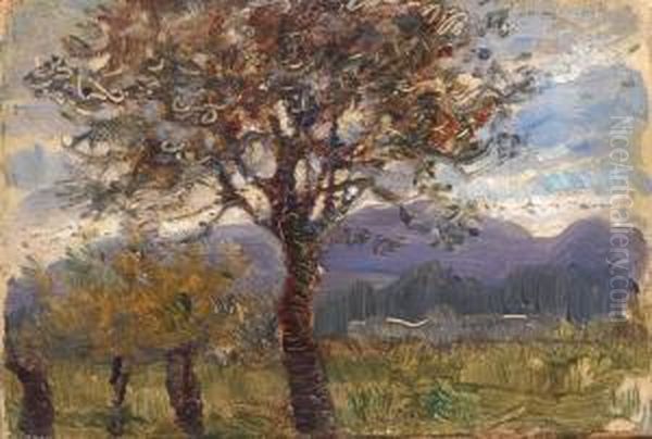 Paesaggio - view 1