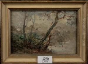 Alberi Sul Fiume Alberi Sul Fiume