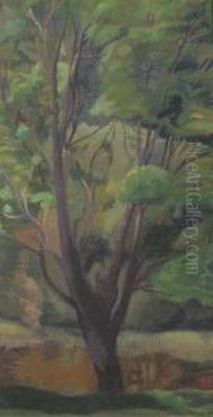 Tree By The Pond - view 1