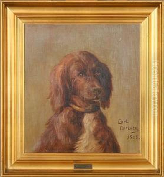 Portrait Of A Hunting Dog - view 1