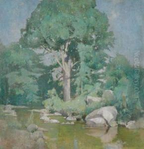 Brook Elm Brook Elm