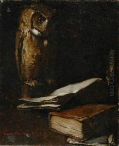Owl With An Open Book,1883