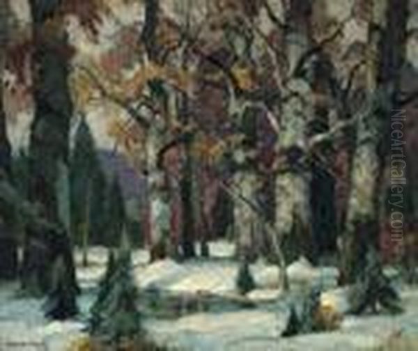 ''sunny Woodland'' - view 1