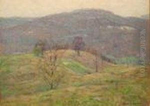 Dormant Fields Dormant Fields