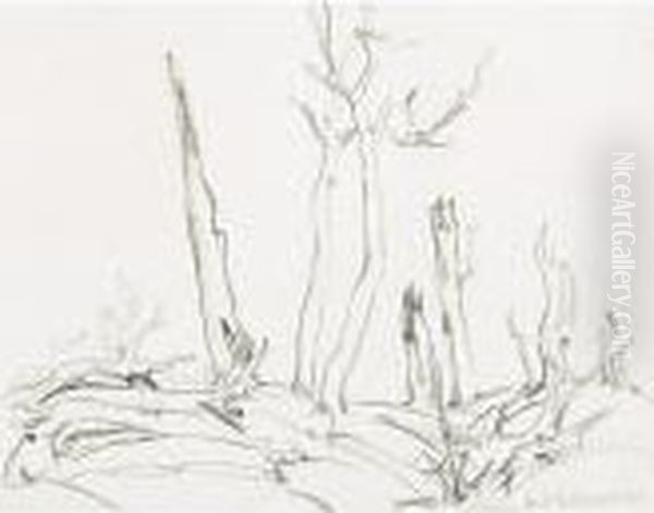 Burnt Trees, Port Coldwell - view 1