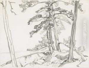 Pine And Rocks, La Cloche by Franklin Carmichael