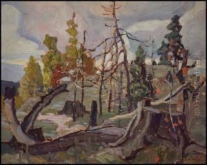 Sketch 6 (tree Stump) by Franklin Carmichael