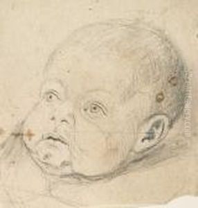 Cabeza De Nino