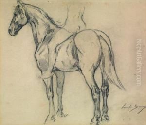 Etude De Cheval Avec Les Jambes Du Cavalier