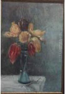 Pauline. Tulipes Pauline. Tulipes