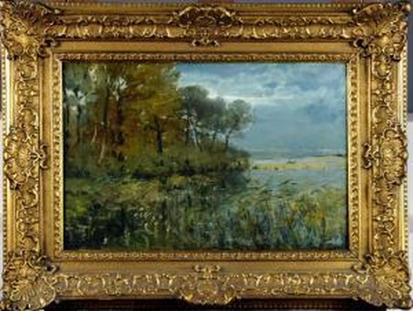 Etang A Boitsfort - view 1
