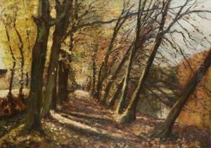 Dreve A Overyssche / Automne by Joseph Caron