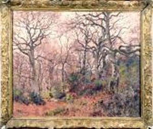Sous-bois by Joseph Caron