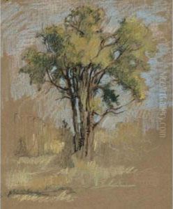 Tree Study by Paul Archibald Caron