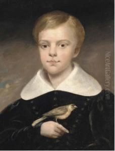 Portrait Of A Boy, Half-length, In A Black Coat, A Bird Perched Onhis Right Hand