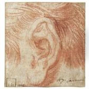 Study Of An Ear by Agostino Carracci