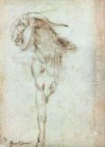 Etudes De Chevres, Recto-verso
