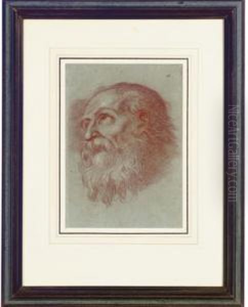 Head Of A Bearded Man - view 1