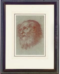 Head Of A Bearded Man by Agostino Carracci