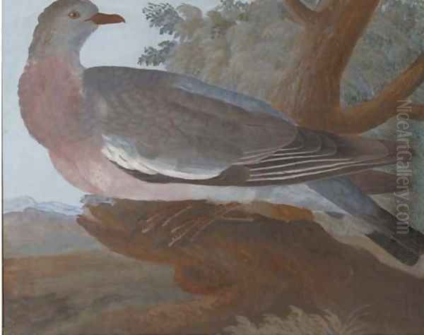 A wood pigeon on a tree stump, an extensive landscape beyond - view 1