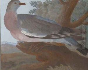 A wood pigeon on a tree stump, an extensive landscape beyond