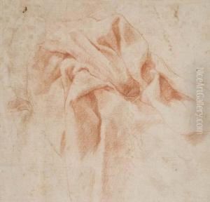 Study Of Drapery