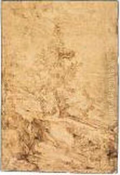 A Mountainous Landscape With Trees. - view 1