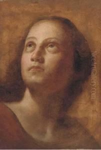 Portrait Of A Girl