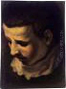 Head Of A Young Man Looking Down To The Left by Lodovico Carracci