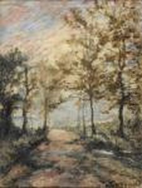 Chemin Sous Les Arbres - view 1
