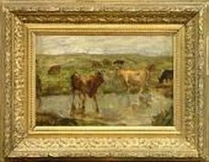 Vaches Au Point D'eau Vaches Au Point D'eau