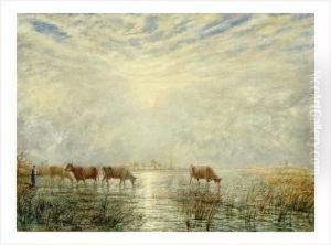 Vaches A L'abreuvoir