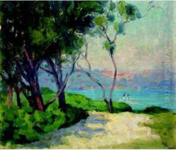 Rose Bay, Sydney Harbour - view 1