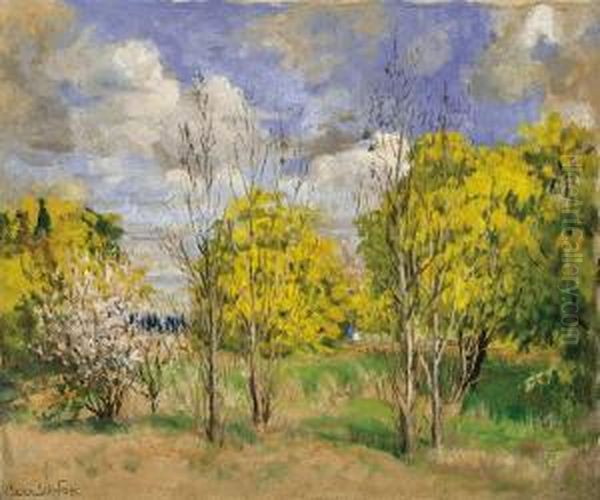 Wattle And Blossom - view 1