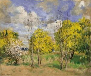 Wattle And Blossom by Ethel Carrick-Fox