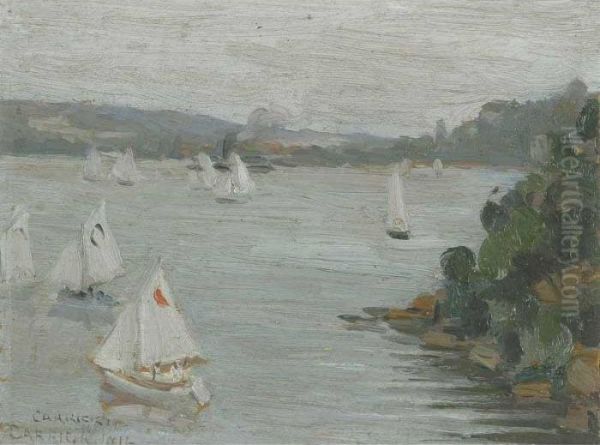 Sydney Harbour - Grey Day - view 1