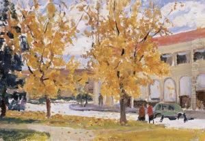 Autumn Canberra Autumn Canberra