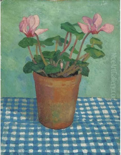 Cyclamen In A Pot - view 1