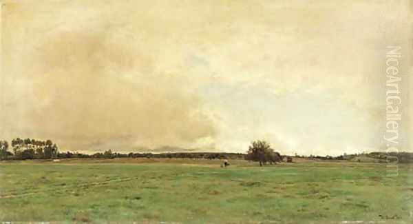 An expansive meadow - view 1