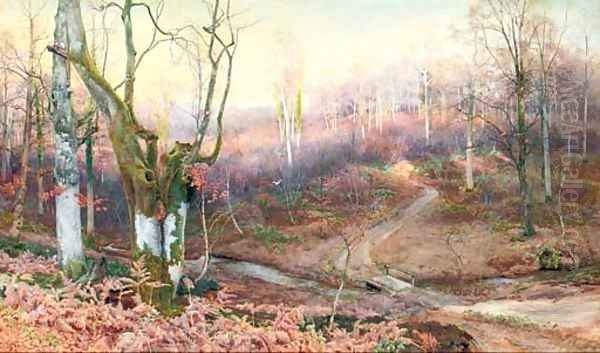 In the Heart of the Forest - view 1