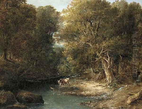 Cattle watering in a wooded landscape - view 1