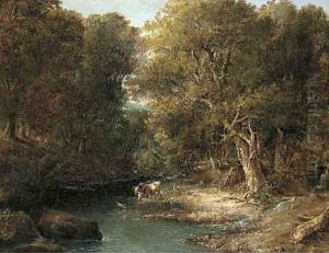 Cattle watering in a wooded landscape
