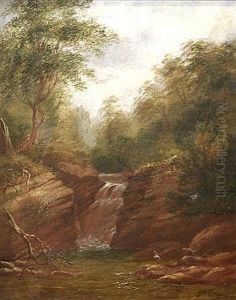 Waterfall by James Howe Carse